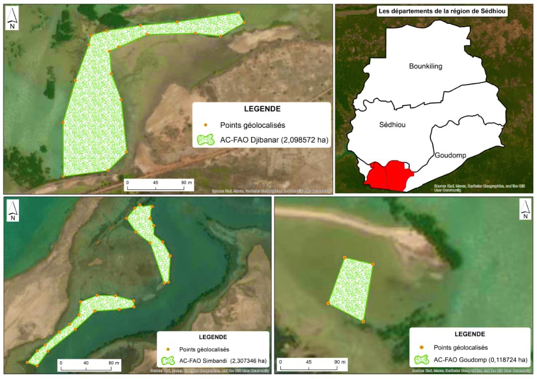 1/3
Mission d’évaluation et de cartographie des réussites de la  campagne de #reboisement de la #mangrove 2023 en #Casamance par #JVE🇸🇳
Projet #ACFAO
💚9’21ha réussit sur plus de 15ha reboisés💚
🪧Région de #Sedhiou
Partenaires : @GreenSedhiou
#Kebetu #Senegal <a href="/GeneviveTalbot1/">wonderwomen</a>