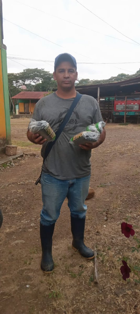 En el marco de la Campaña Nacional 'Verde que te quiero Verde', El INAFOR entregó bolsas a Protagonistas para  el establecimiento de Viveros Forestales en diferentes Comunidades del municipio de San Rafael del Norte, Jinotega.

#INAFOR
#verdequetequieroverde