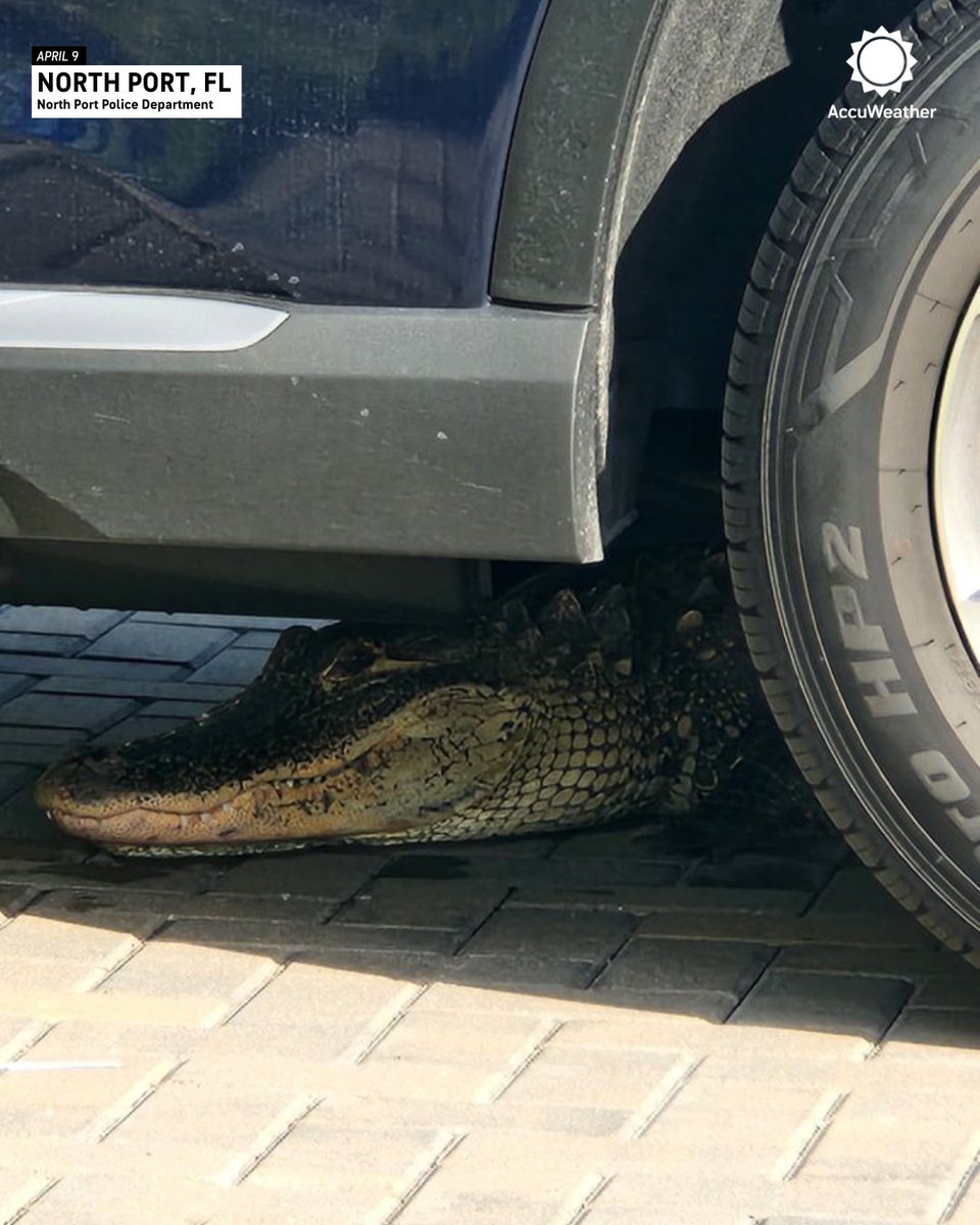 Saklambaç oynayalım mı ?