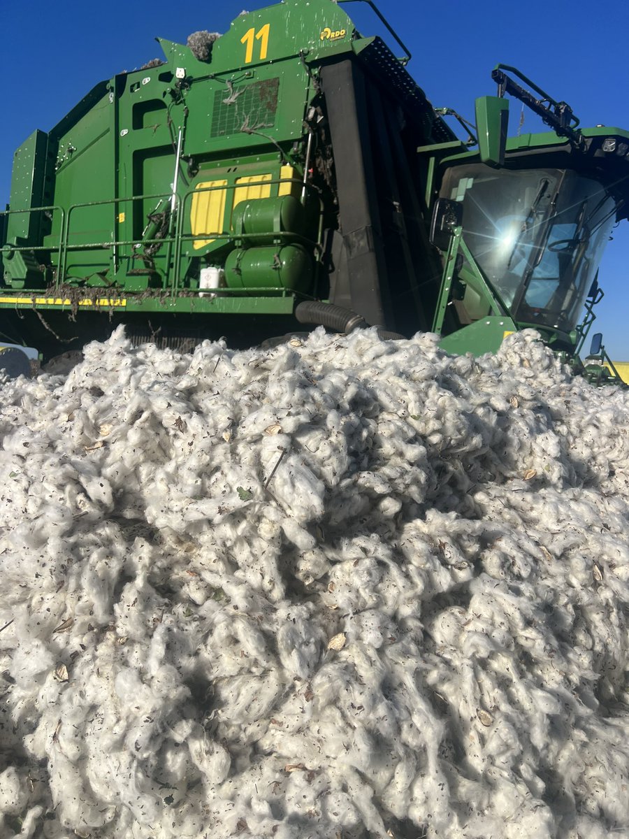 AndrewUphill's tweet image. Where else would you rather spend your birthday. How yesterday started v finished. Picker pizza on a Friday night! Winning 👍. #pick24 #aussiecotton #Gwydirvalley