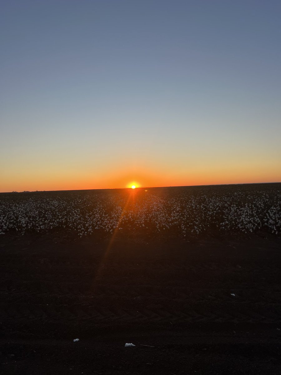 AndrewUphill's tweet image. Where else would you rather spend your birthday. How yesterday started v finished. Picker pizza on a Friday night! Winning 👍. #pick24 #aussiecotton #Gwydirvalley