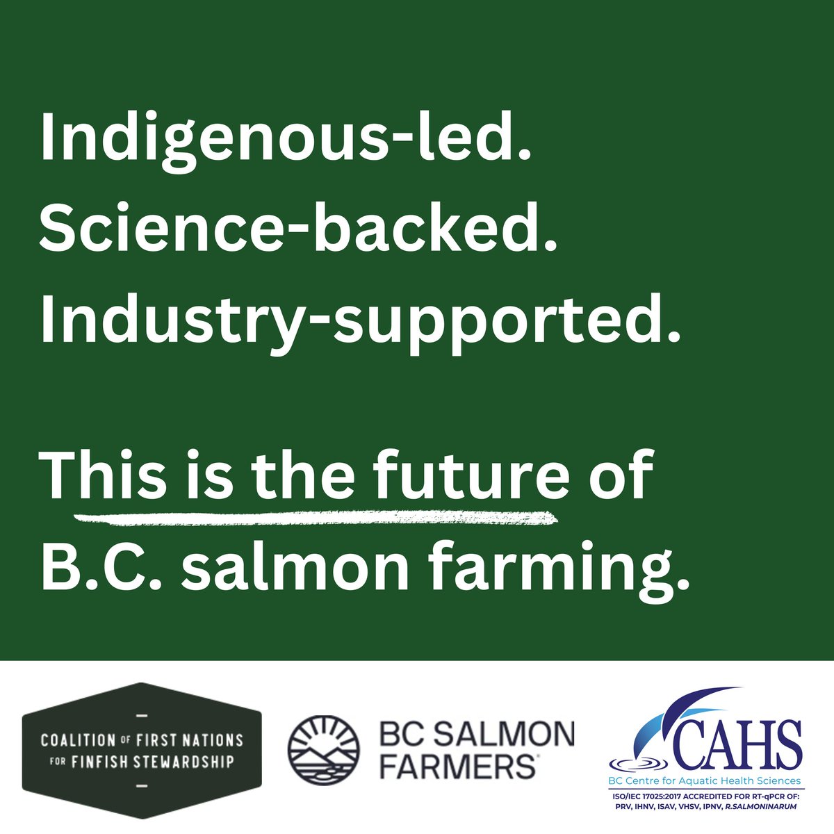 The transition of salmon farms in our territories will be led by Rightsholder Nations working closely with the federal and provincial governments, science, and the sector. The future of salmon farming will be shaped by our traditional knowledge, Western science and technology.