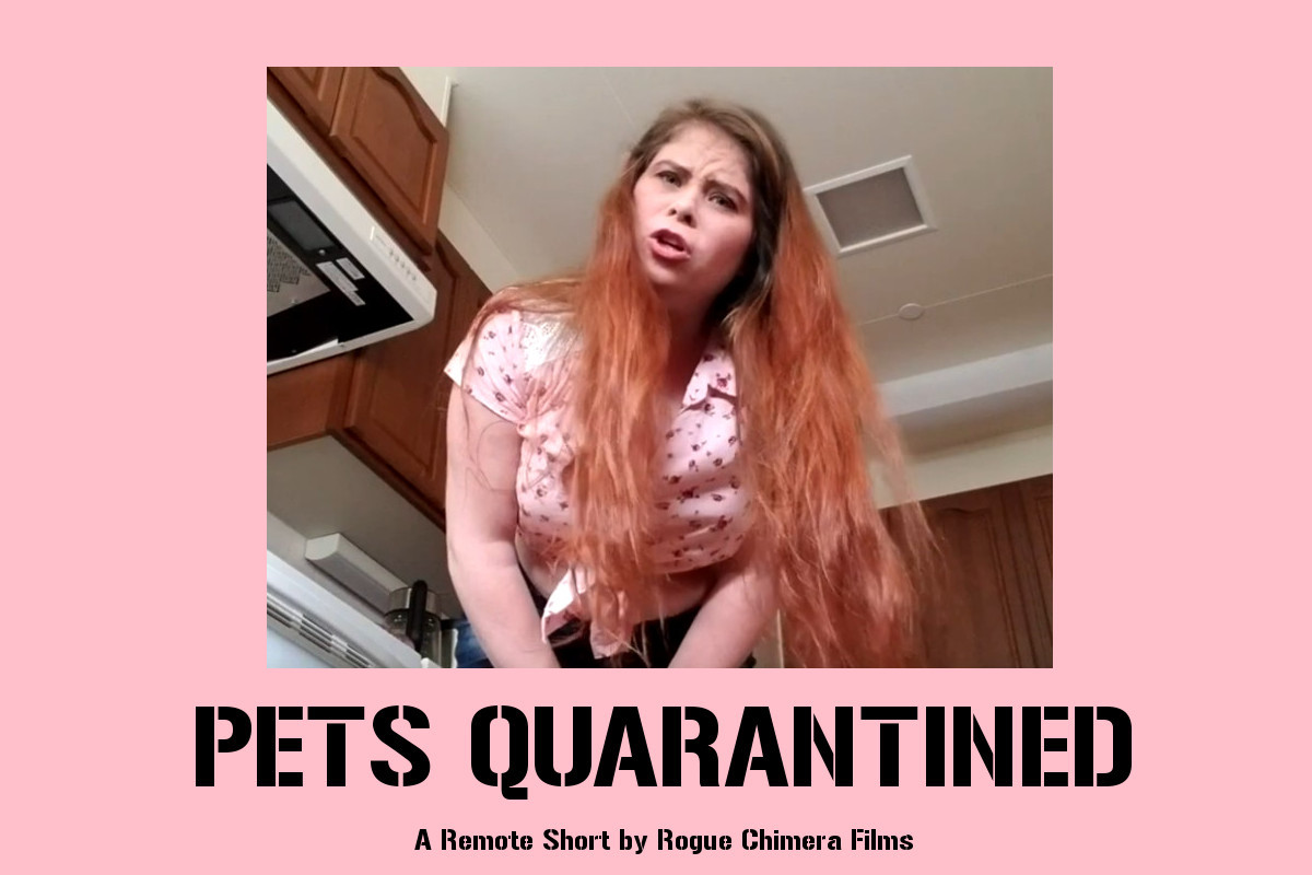 Pets Quarantined Made during the 2020 as a remote film with actors filming themselves and their pets. Available for free on YouTube YouTube.com/watch?v=JGg3vN… #rogue #chimera #films #film #movie #movies #horrormovie #horrrormovies #horrorgenre #independentfilm #independenthorrror…