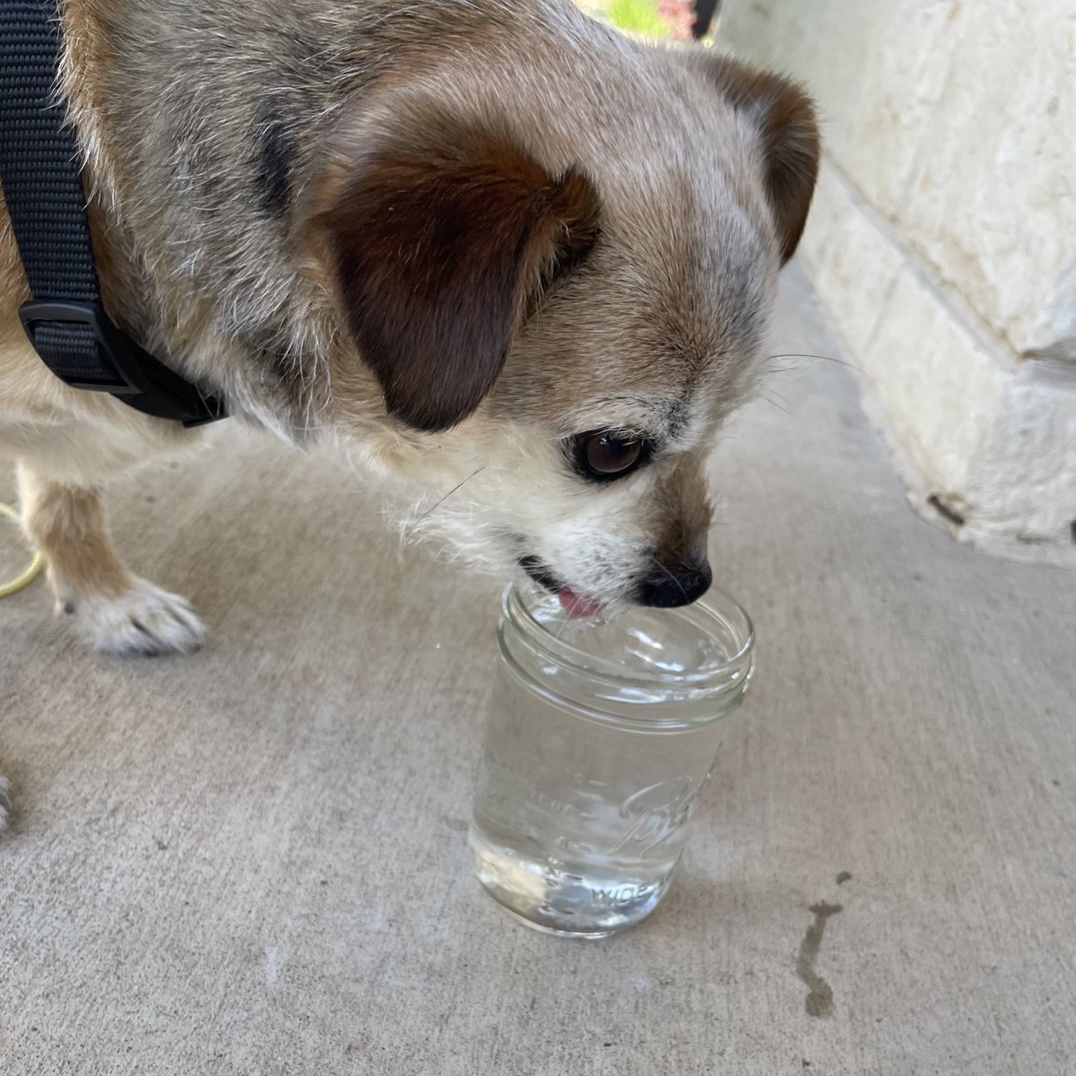 that was my water…no no help yourself