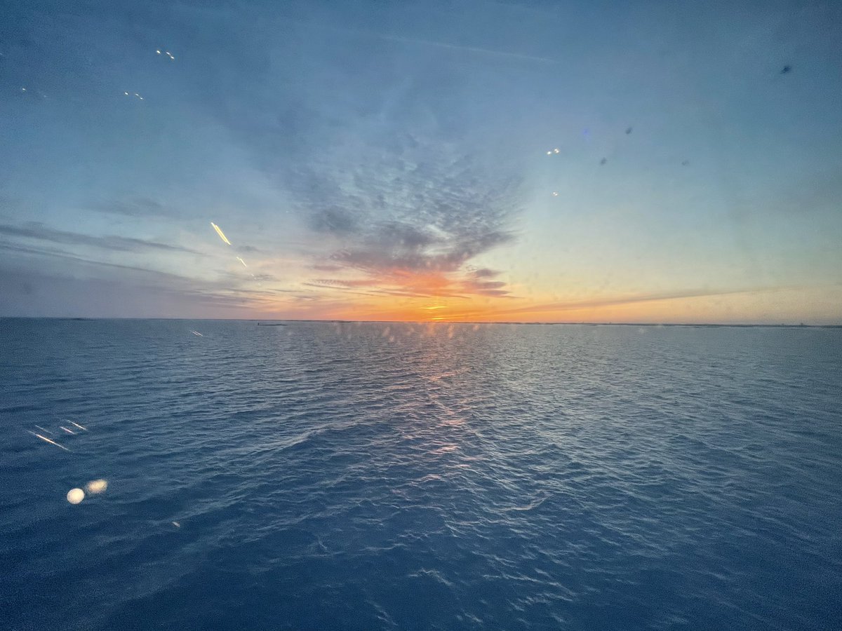 Angel Gil tweet media