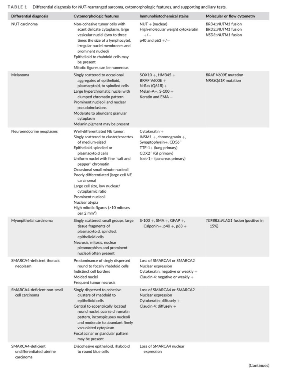 🌟New article alert and pitfalls🌟@DiagnosticCyto 'Cytomorphology of metastatic colonic MXD4::NUTM1-rearranged sarcoma' onlinelibrary.wiley.com/doi/10.1002/dc @PapSociety @PoonamVohra3 @Baskotacytopath @aakasharmand @IACytology @britishcytology @sam_albadri @JudyShi8 @binnuronal @ekhanafshar