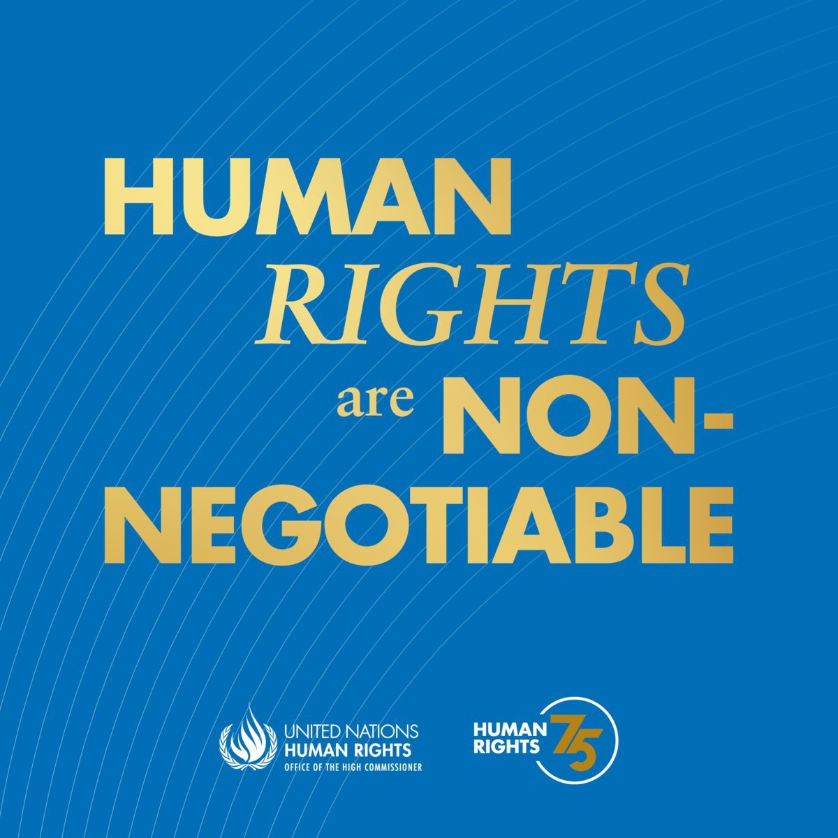 Human rights belong to all of us. They are non-negotiable.

And they are fundamental to our hopes for a world at peace.