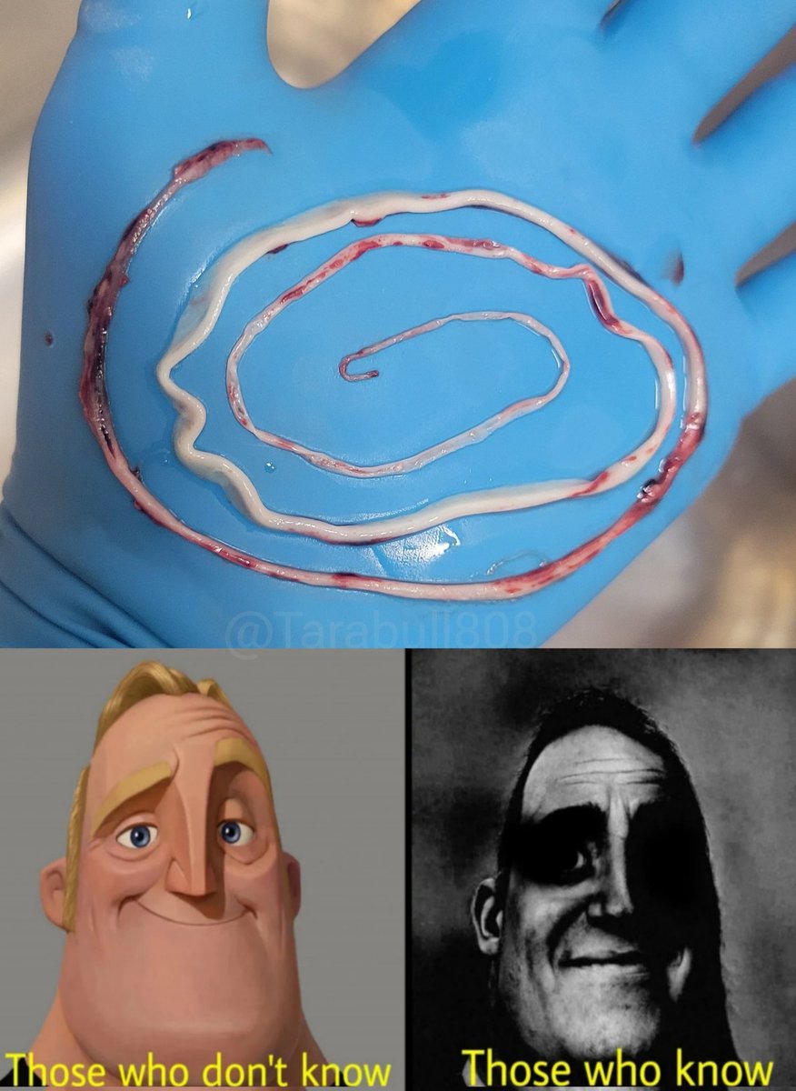 TaraBull tweet media