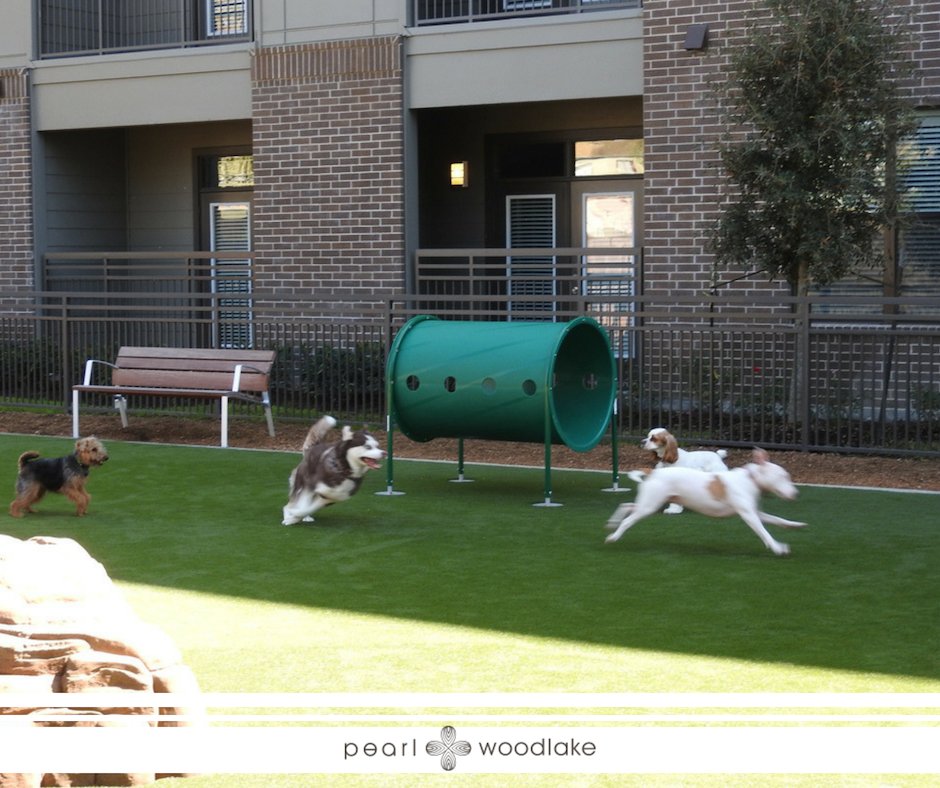 That's right—we're pet-friendly and proud of it! 🐶🐱

In addition to welcoming your pets in our studio, 1-, 2-, and 3-bedroom apartments, we also provide a large on-site bark park plus a dog wash station.

#PearlWoodlake #HoustonLiving #HoustonApartments