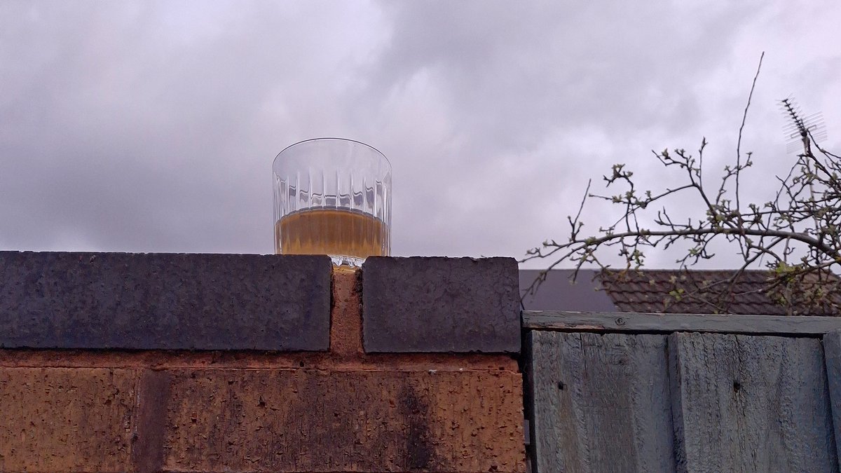 squaresteps's tweet image. "Scene" on my daily walk. A 4picture mini blog of what I saw over about 4 miles.
Closing a very busy road for a fun run (great fun)!
Whatever is that doing up there?
Overgrown front garden full of muscari.
An escapee growing by the brook.