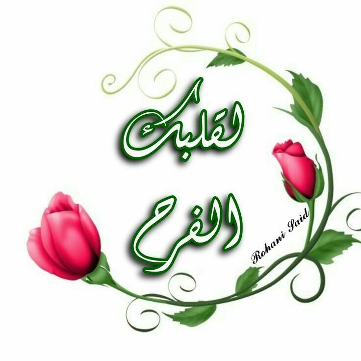 @Eimirahahleh الصدفة اللي جابتك يوم مرّيت  
تسوى مواعيد العُمر والتلاقيّ❤️