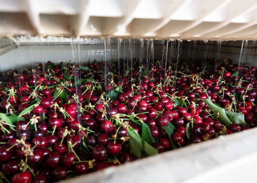 Stemilt Growers expects promotable California cherry volume for Memorial Day ads. The company expects its California cherry season to start toward the end of April, translating to promotable volumes leading into Memorial Day and through early June. loom.ly/DX6BkZA