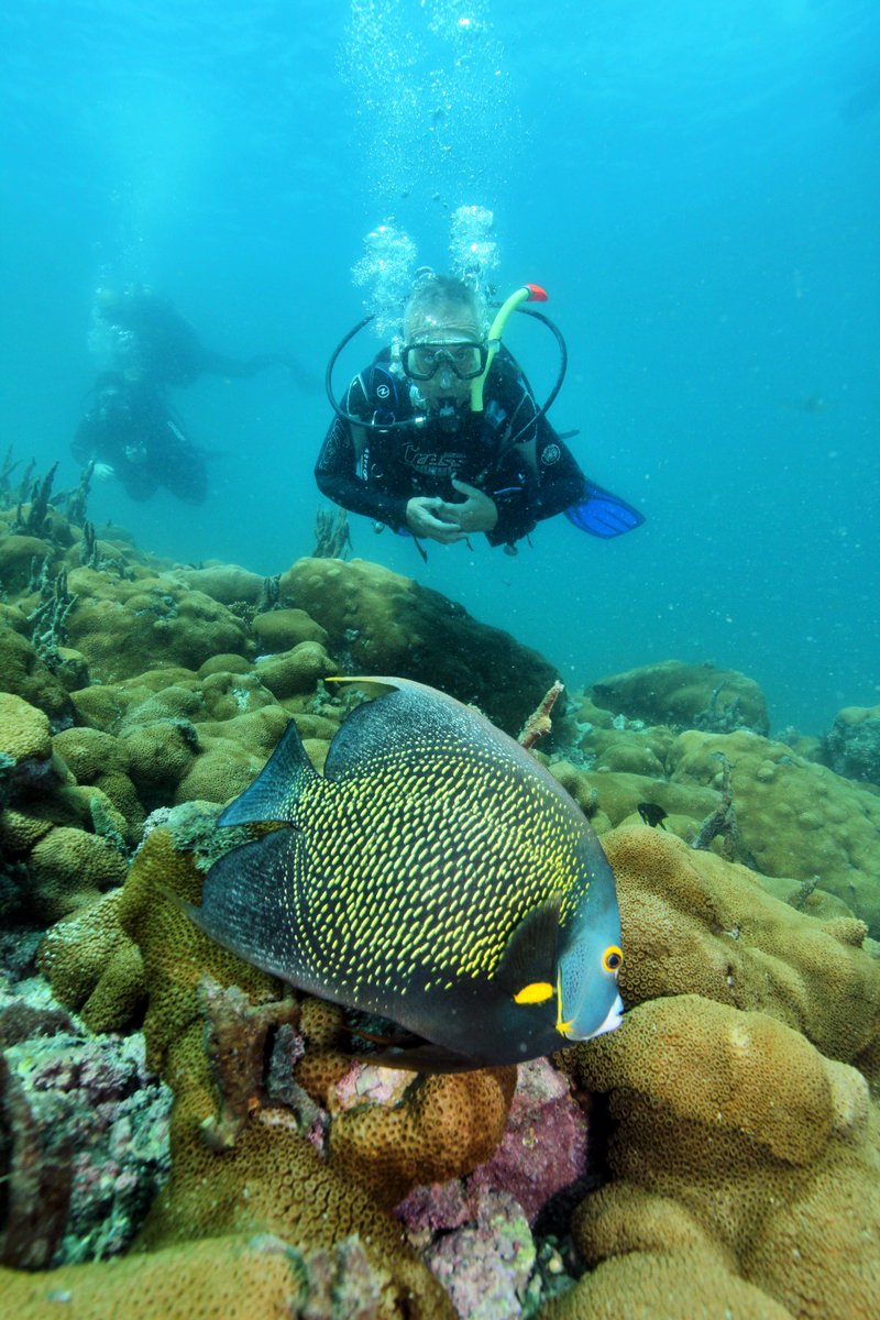 Para Amanda Naturaleza,otra foto del buceo realizado