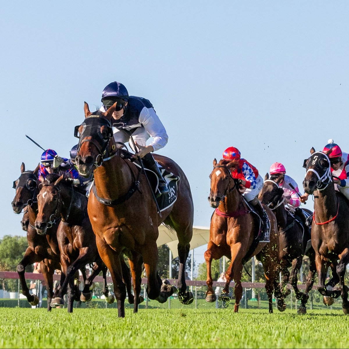 Officially rated as a Good 4, the track is ready to go and so are we. Bring on Auraria Stakes Day 🤝 TRACK REPORT & SPEED MAPS | bit.ly/4cRo1mB