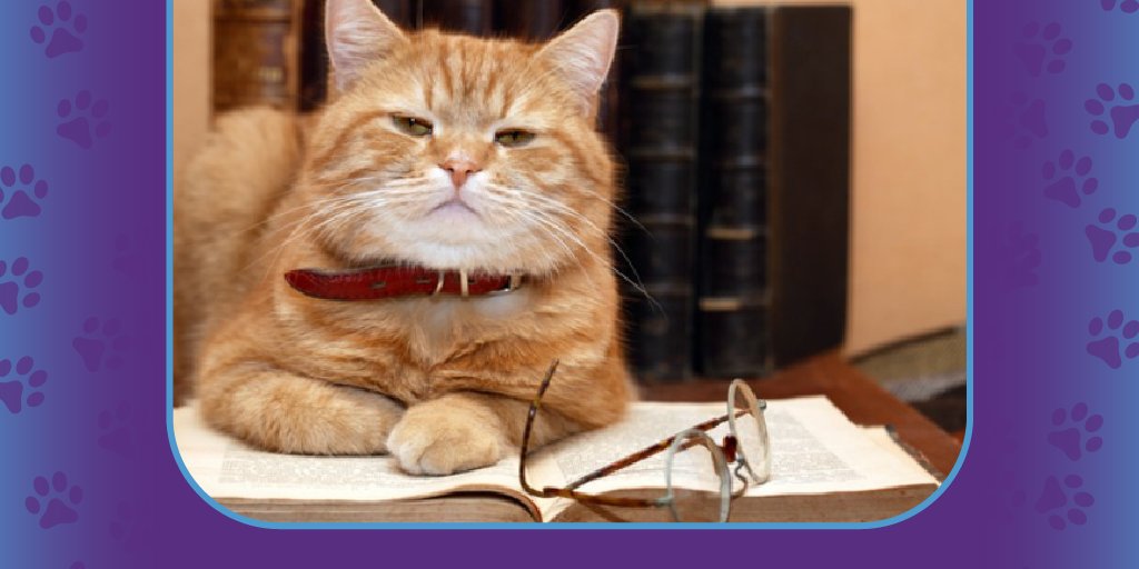 Think you can make us laugh? Drop your most creative caption in the comments! #STEM #humor “I'm feline pretty confident about this physics exam.”