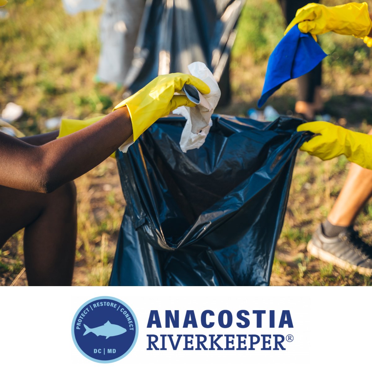 Celebrate Earth Day with fellow SCS members on 4/20, for a Clean Waterways Cleanups event in Kenilworth Park from 9:00 a.m. to 12:00 p.m. Register through Anacostia River Keeper: bit.ly/4auGJPl SCS RSVP: bit.ly/49Bs17K