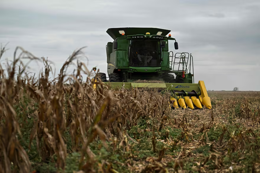 Pese a su impacto en la cosecha argentina, la chicharrita tuvo poca influencia sobre los precios del maíz en Chicago lanacion.com.ar/economia/campo… a través de @LANACION