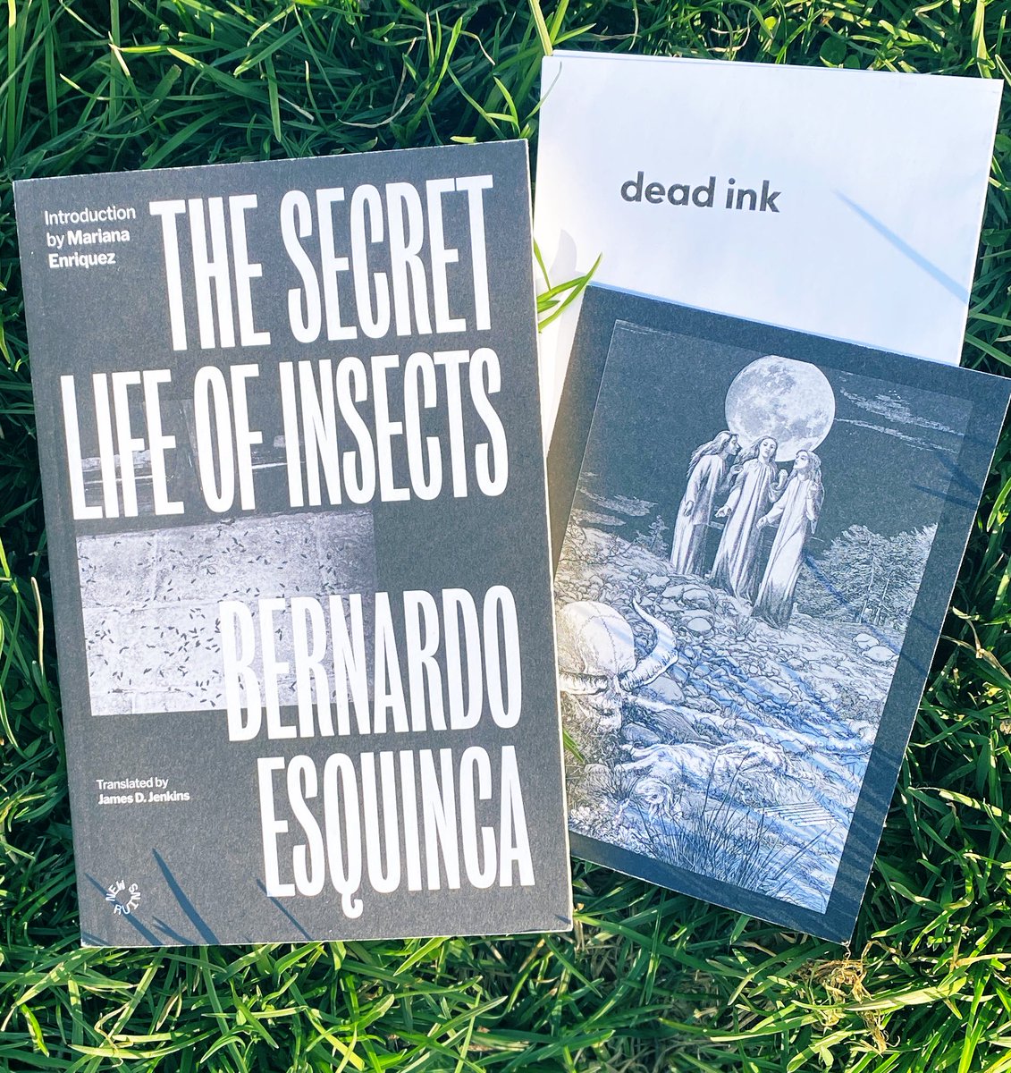 “In the dark of the woods all creatures are possible because you can’t see anything.” -Bernardo Esquinca From “Demoness” in The Secret Life of Insects @DeadInkBooks this collection of stories has been haunting my days and nights. Translated beautifully to capture all the layer