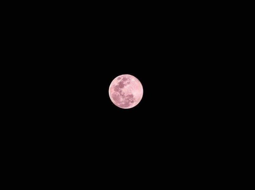 Qué icónico fue que había una luna rosa cuando cuando blackpink se presentó en Coachella del 2019