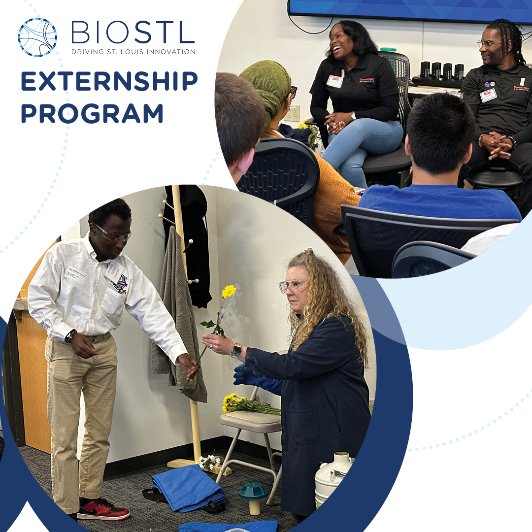 BioSTL's tweet image. @BioSTL partnered with @thermofisher to boost bioscience career opportunities. Our 6-month externship program concluded with a session showcasing how Thermo Fisher is advancing life-saving therapies globally. Kudos to all involved #BioSTL #FutureLeaders #BioSTLExternshipProgram