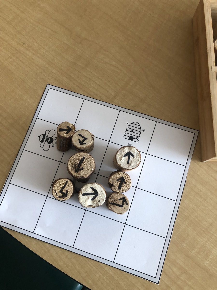 AskariNasim's tweet image. Unplugged coding & studying bees life cycle @KCBusyBees 🤩🐝♥️ #ocdbEarth #ocsbCoding #ocsbOutdoors 🎒@StAnneOCSB @CanvaEdu @ocsbEco