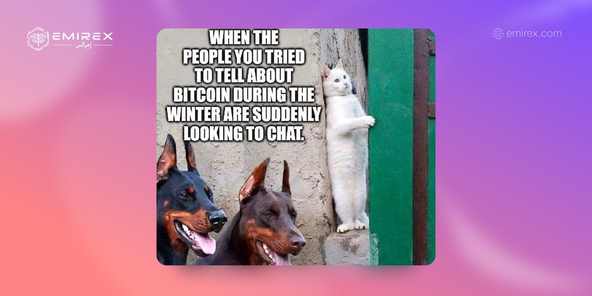 EMIREX tweet media