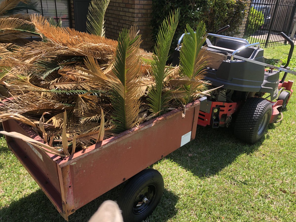 Haha…Anita’s 1st load. 

I put some sego palm side extensions on it to raise the sides😂😂