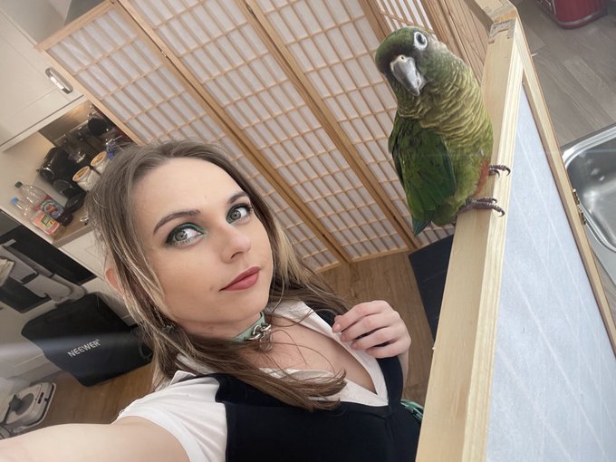 George was once again my little helper :) https://t.co/7fsCN4K52n