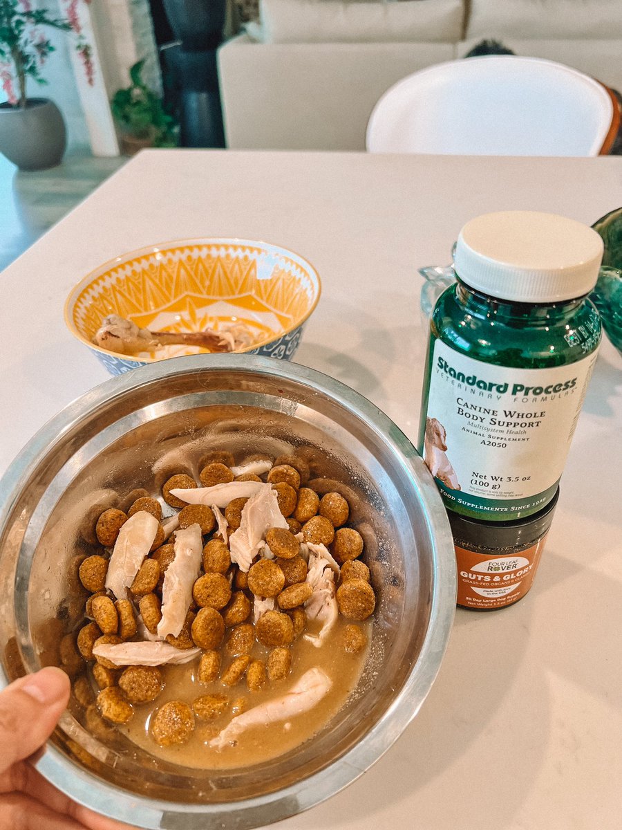 Pizza’s Breakfast: fresh boiled chicken, grass-fed organs & glands supplements, doggy vitamins, and kibble! 🤍