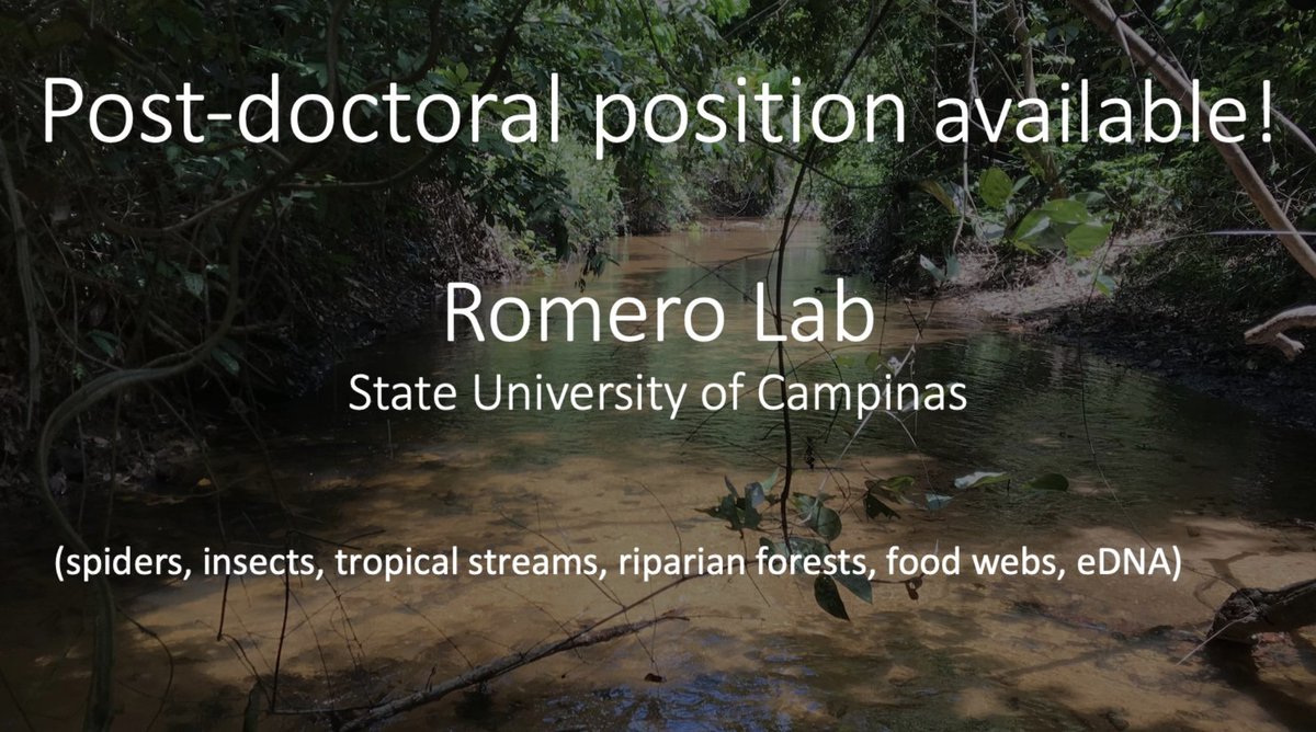 New postdoc position, fully funded by @AgencyFAPESP at @unicampoficial to study impacts of stream pollution on terrestrial food webs using ecological network and eDNA. Apply here: gqromero.wixsite.com/lab/opportunit… Deadline for application: May 1st, 2024. Please RT. Thanks!