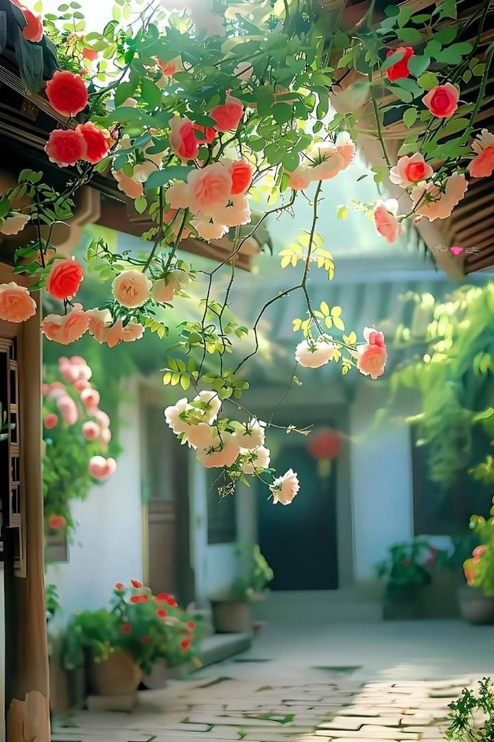 کوئی لڑکی یا آنٹی ایسی ھو جس کا دل کوئی نہ لے رھا ھو مجھے دے سکتی ھے ٹائم کم ھے جلدی سے اظہار کریں عیدی بھی دینی ھے 🤔🤔🤔