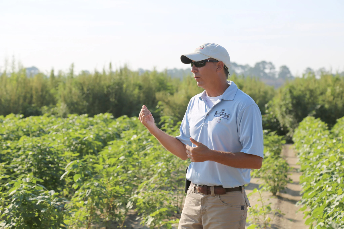 Meet Stanley Culpepper: 25 years of dedication as a weed science specialist at UGA Cooperative Extension. Despite new challenges in pesticide availability, he's unwavering in his commitment to global agriculture. 🌱
