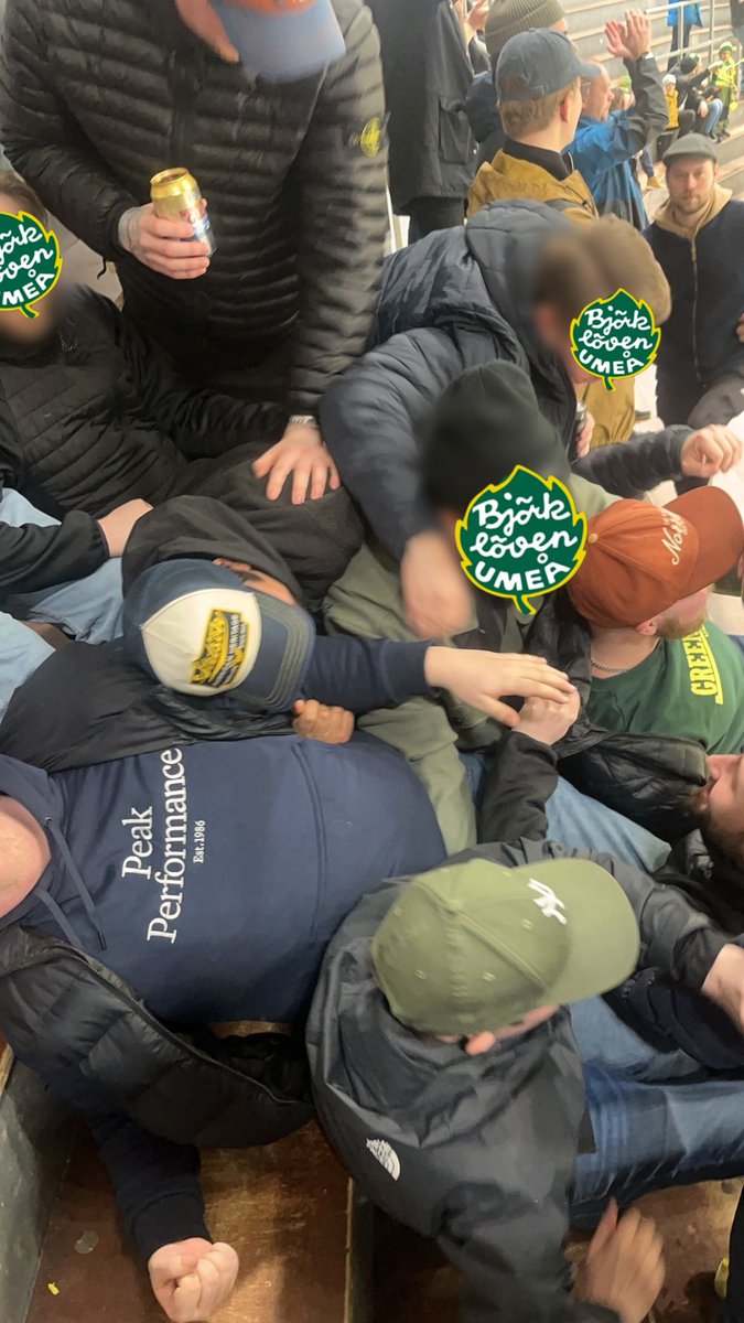 Lövenraset när J20 tar ledningen