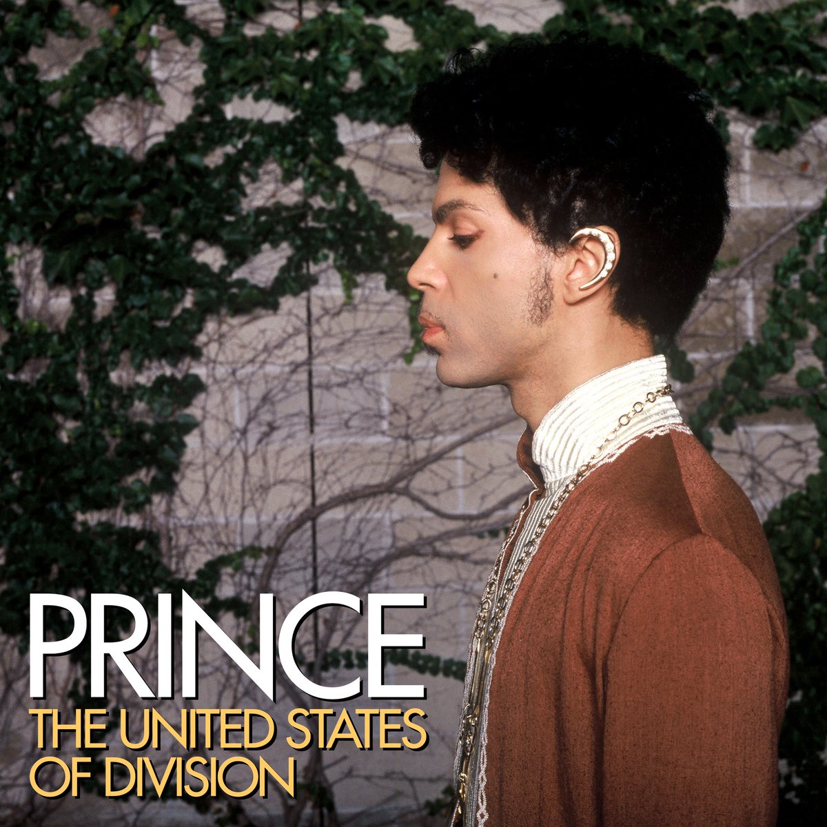 As we continue to celebrate 20 years of Musicology, we are excited to shine a spotlight on 'United States Of Division,' one of Prince's many powerful protest songs that witnessed him boldly confronting several of the the social and political issues that continue to plague us…