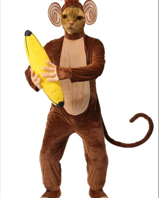 MonkeyCatSolana's tweet photo. MonkeyCats 12 years old DEV halloween costume looking clean🧊

🤫😩😜🐒🐒🦍

$MC https://t.co/X4dFaR1fuy