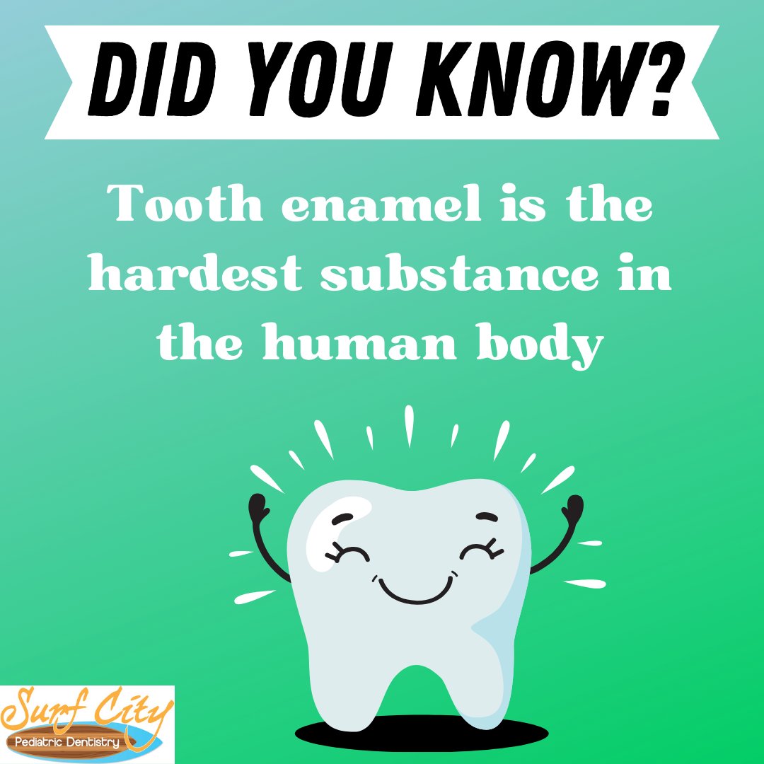 Friday Fun Fact!💡 Just because your tooth is the hardest thing in your body doesn't mean you should test it out by biting into objects that are not food! 🦷 Did you know this fun fact?