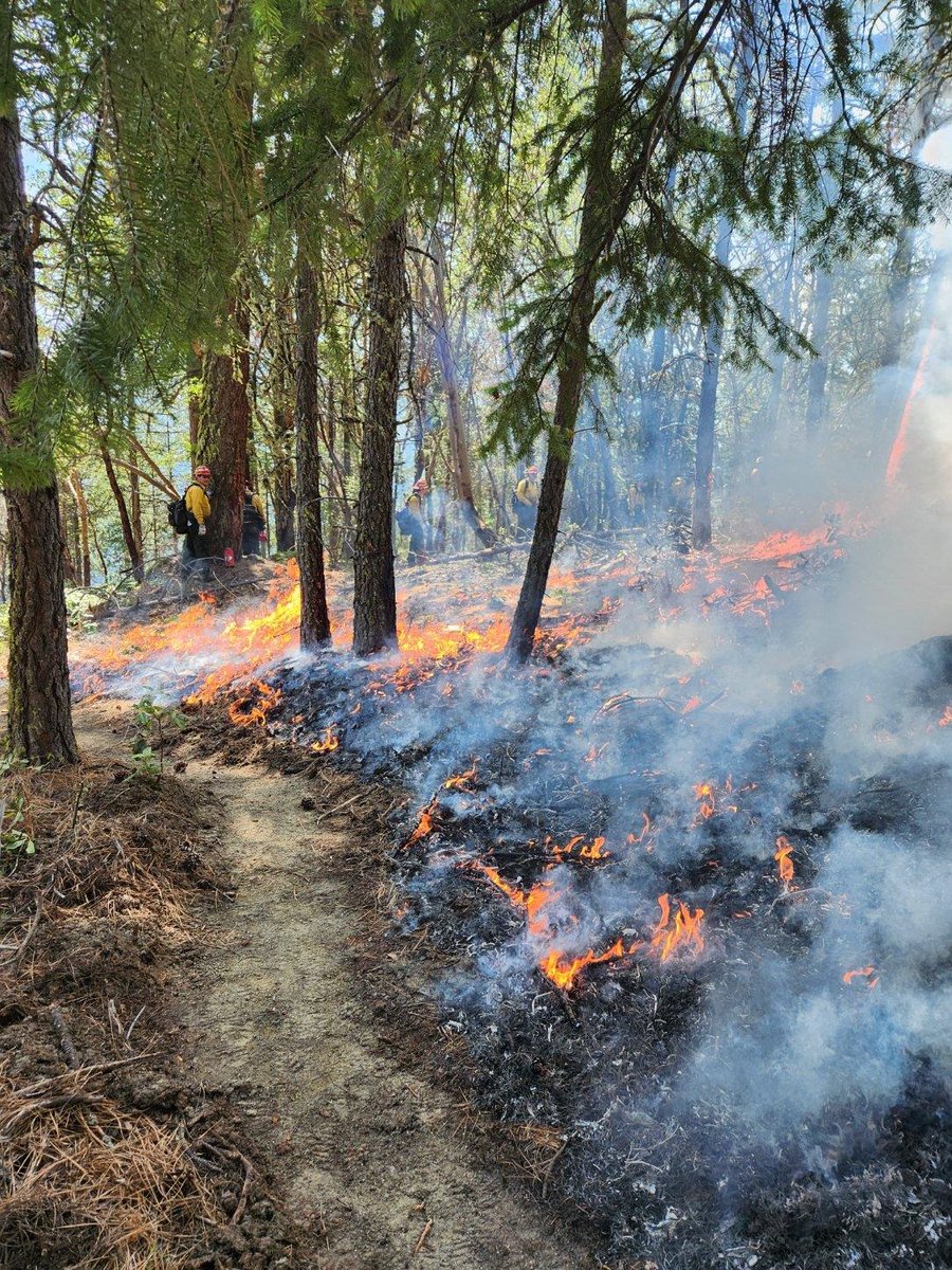 · 🌲🔥 What is prescribed fire? Prescribed fire is the controlled use of fire by highly trained fire experts to achieve a range of resource management objectives. #PrescribedFire to #ReduceWildfireRisk

Photo: Prescribed burning on the Rogue River-Siskiyou National Forest.