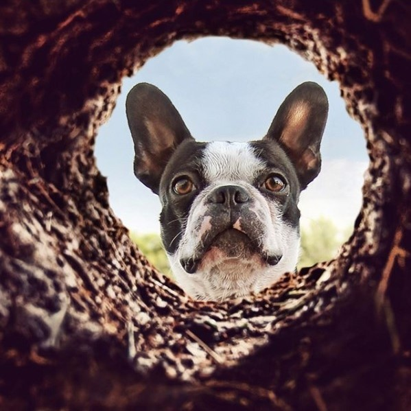 PolarCub's tweet photo. Remember to call 811 before starting any outdoor projects... Digging without knowing the approximate location of underground utilities can result in damage to gas, electric, communications, water and sewer lines, leading to service disruptions, serious... https://t.co/DKldfe2Wzq https://t.co/a6pX5phkNB