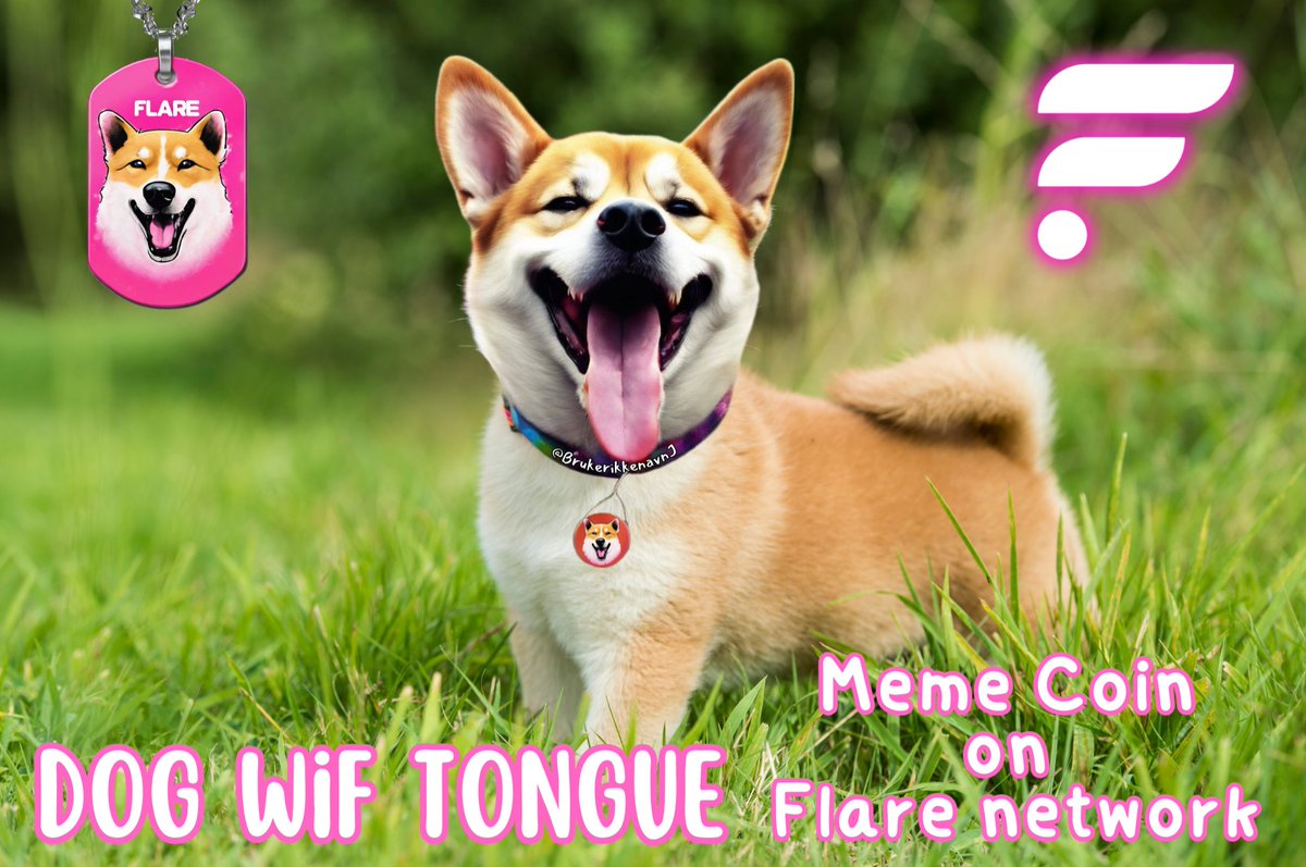 @DogwiftongueFLR- Meme Coin on Flare network! 
Contract: 0x5ef977103AbCa078A04cd325B294AD4efE9d3DBe 
#FlareNetwork #FlareCommunity 
#FlareFam #MemeSeason #Meme
#DogWifTounge ☀️👅