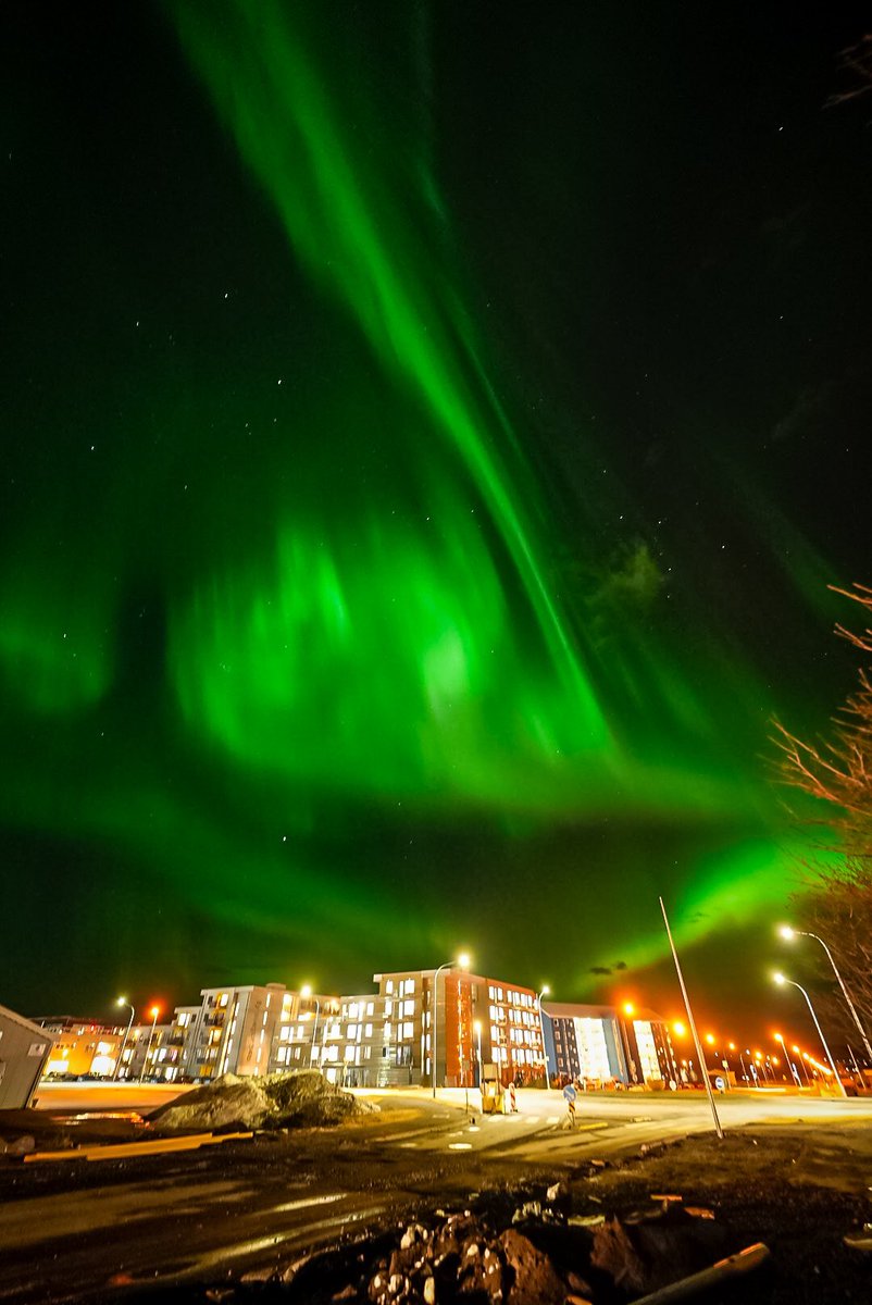 The last couple of weeks of the #Northernlights season in Iceland are coming up. From late April the nights will be too bright to see them. Have you seen them before?