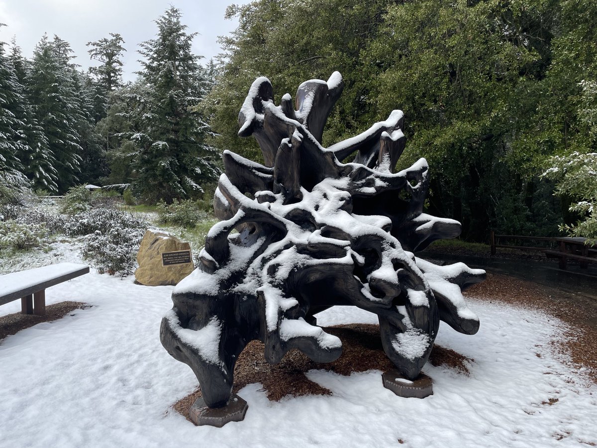 Snow at #CastleRockSP this morning. Only 1” overnight 🤨 Still beautiful 🤩 #cawx