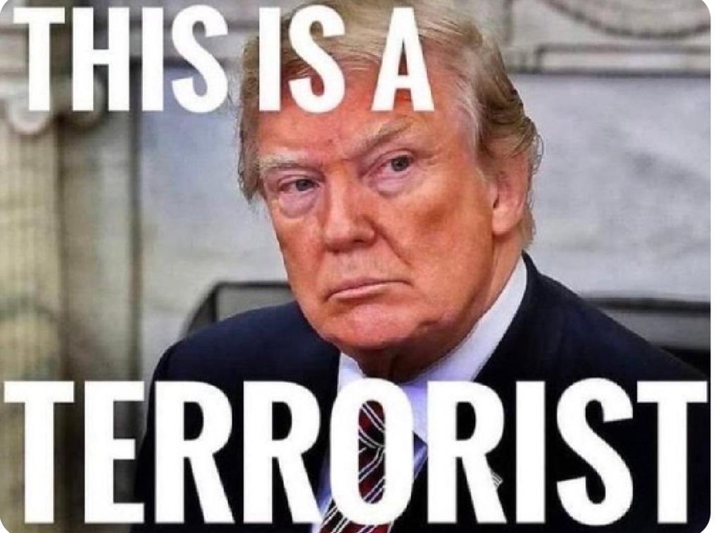 Raise your proud democratic hand if you’re part of the 70% of Americans who agree that Trump is a DOMESTIC TERRORIST! 🤚