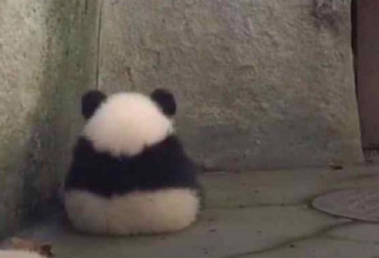 - te vas a enojar por eso?
- jaja no
- segura? a ver mírame
- no quiero