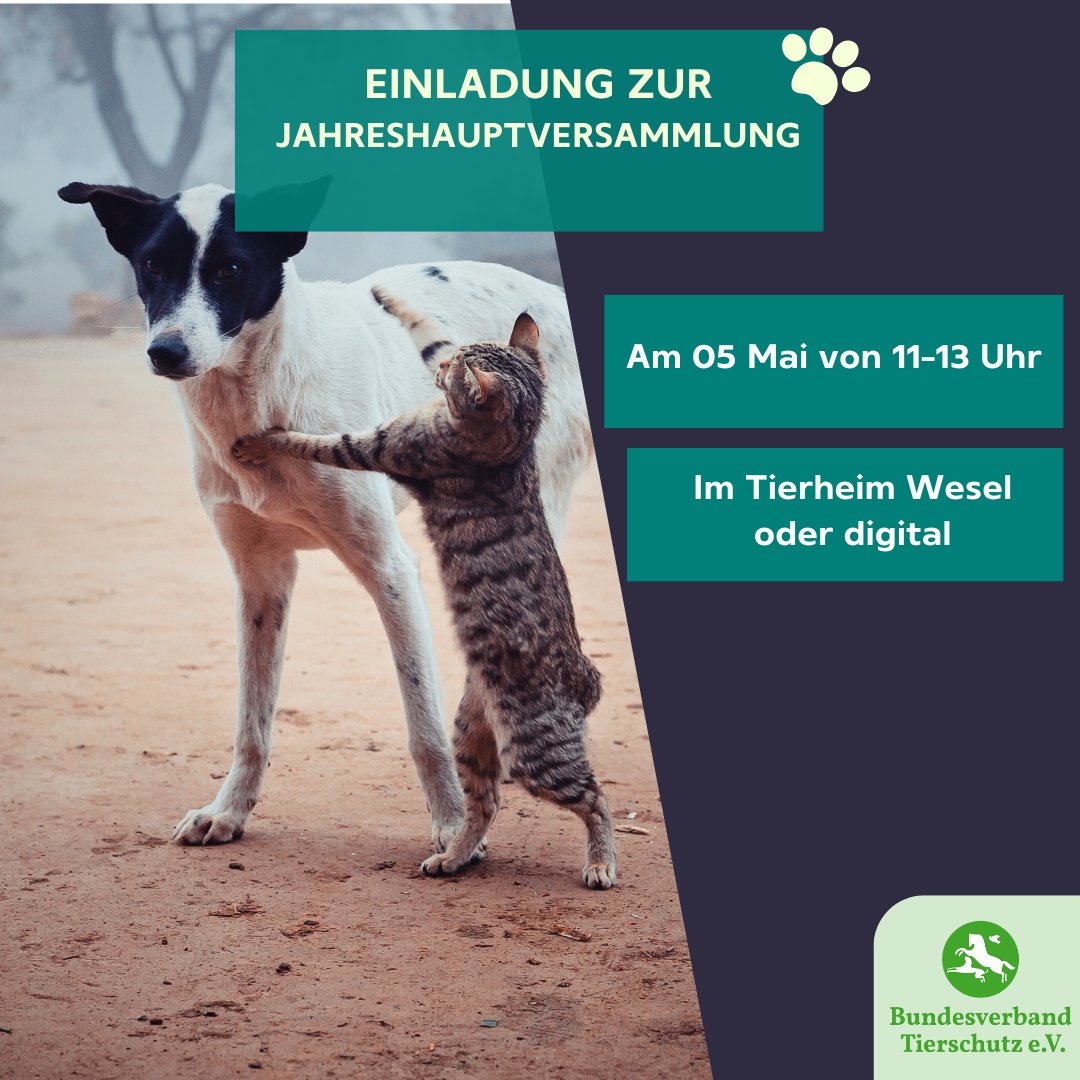 Am Sonntag, 5. Mai, 11.-13 Uhr, halten wir unsere Mitgliederversammlung im Tierheim Wesel ab. Erstmalig ist die Veranstaltung hybrid angelegt - das heißt: Entweder nehmt ihr vor Ort im Pfötchencafe teil oder schaltet euch über einen Link zu, den ihr vorab von uns erhaltet.