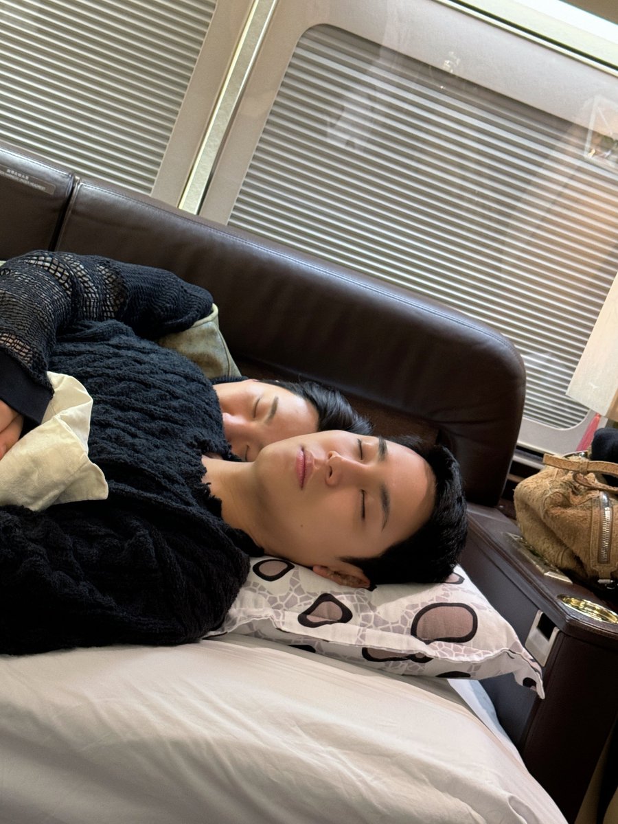 soongyu's tweet photo. 🐶🐯
230406                               240406 https://t.co/Et7sl94VB2