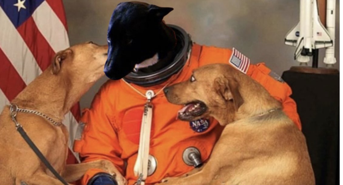 Mission Remains $ZEUS

And I'm Taking All My Dawgs With Me

🐶🌕