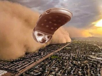 alanzshee's tweet image. #CROCDOGsol SPORTSMODE IS ACTIVATING