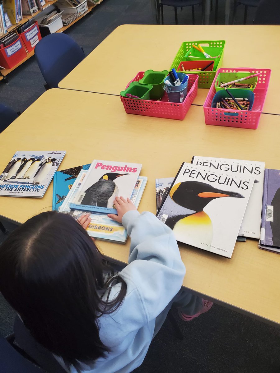 Our incredible ASD student who took organization into her own hands at the library! She found all the Penguin books and categorized them flawlessly. 📚🐧 #AutismAwareness #LibrarySkills #Inspiration <a href="/WilshireLibrary/">Wilshire Library Learning Commons</a>
