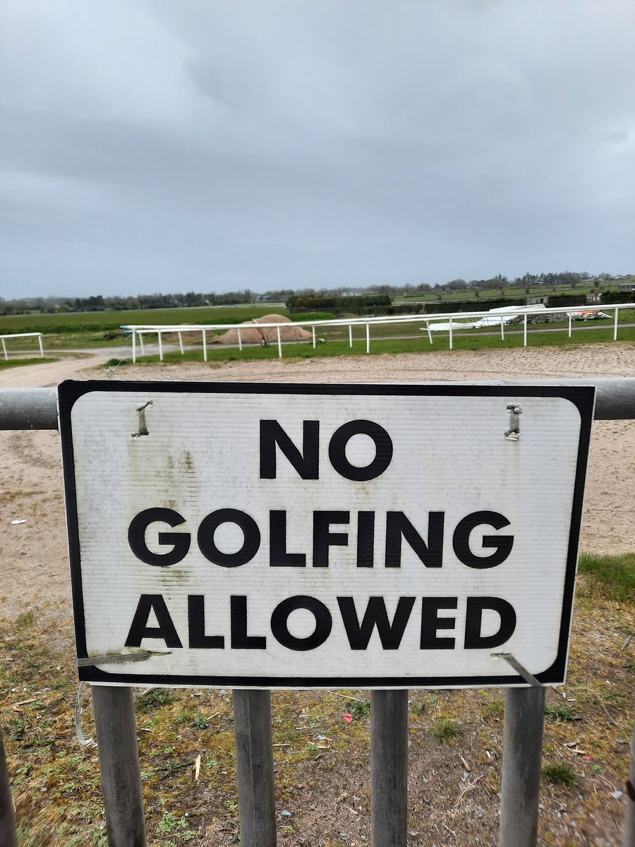 The sports crossover we never knew we needed at Roscommon Racecourse. #horsegolf #Paris2024 #hontheros