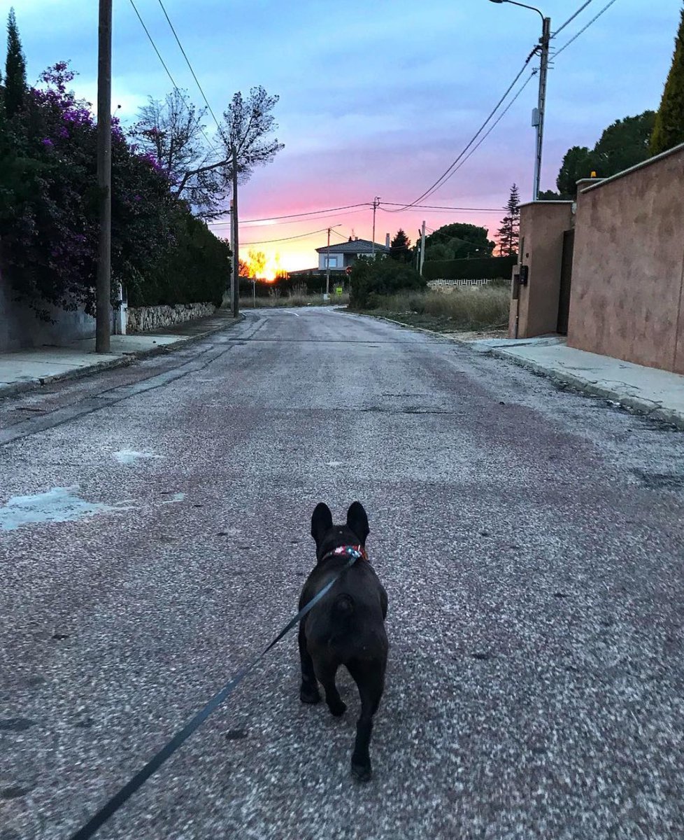 k o r a h tweet media